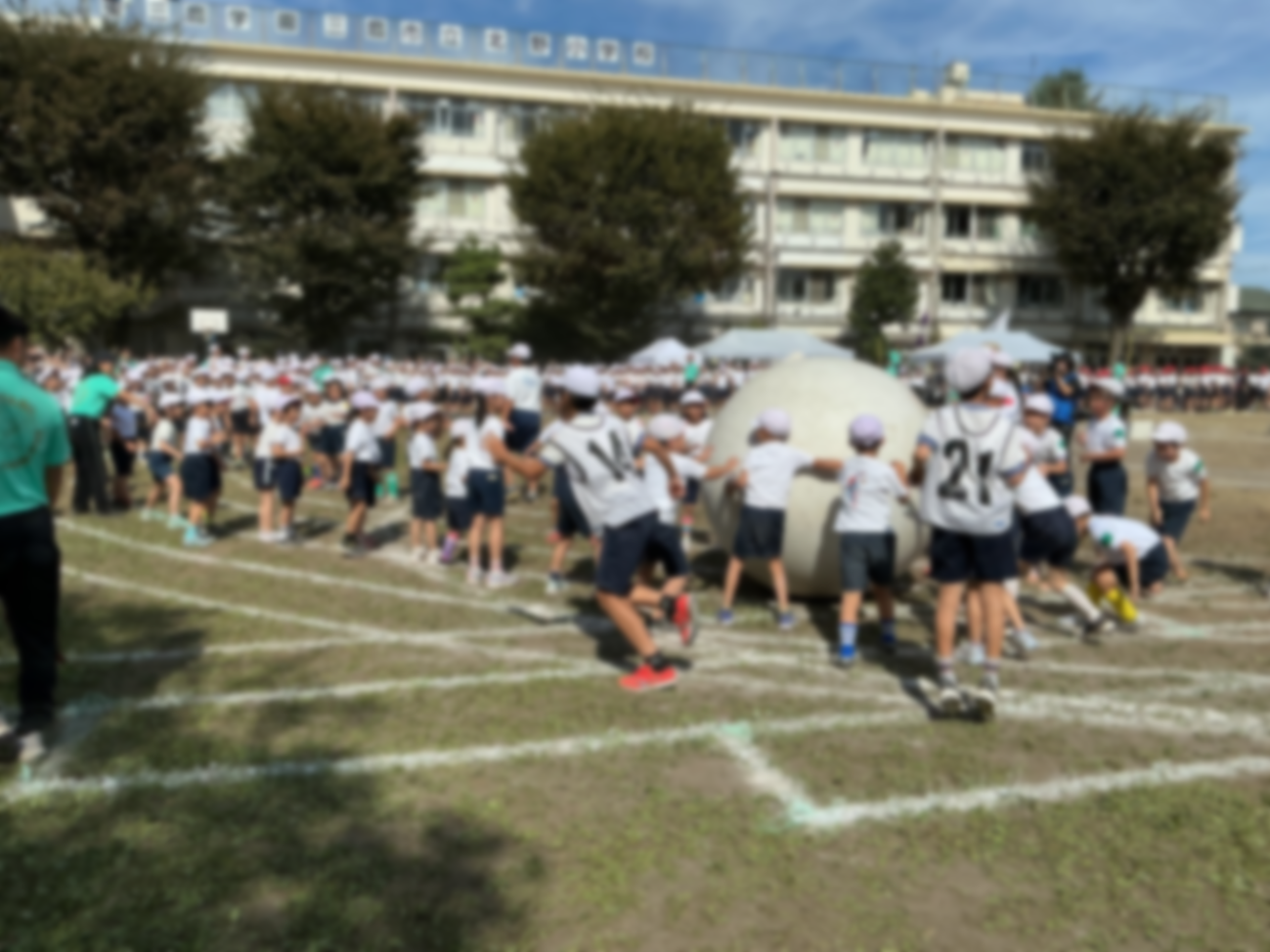 画像8